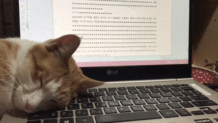 Pourquoi ce blog et mon process pour le moment