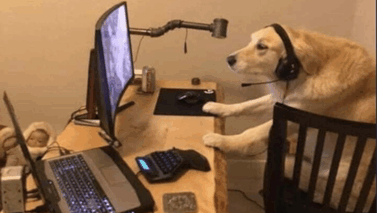 Newsletter et chitchat